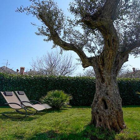 Apartments Palm View Rovinj Exterior foto