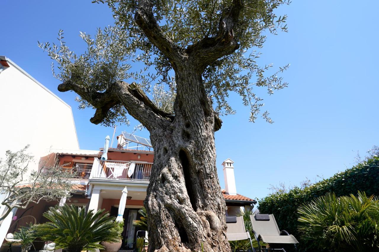 Apartments Palm View Rovinj Exterior foto